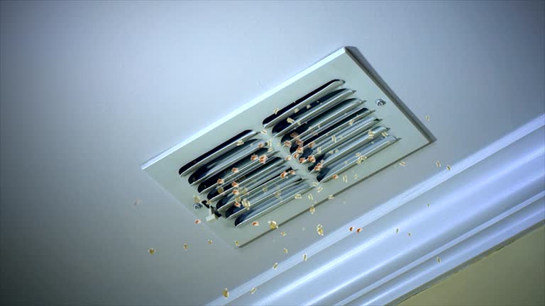 Best Affordable Air Duct Cleaning  in Torrance, CA